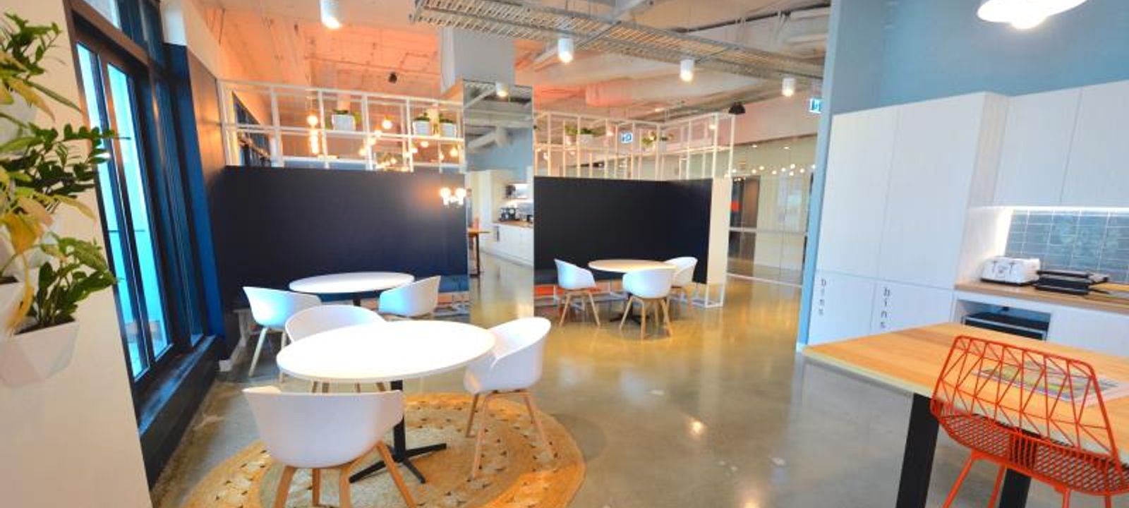 50 Carrington Street, Sydney - Image 1