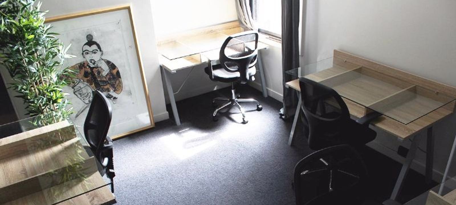 326 Bronte Road, Waverley - Image 1