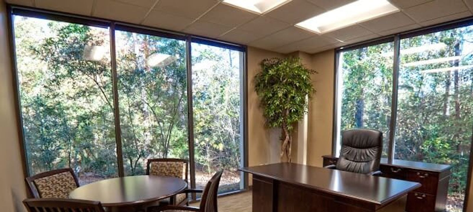 1095 Evergreen Cir, The Woodlands - Image 1