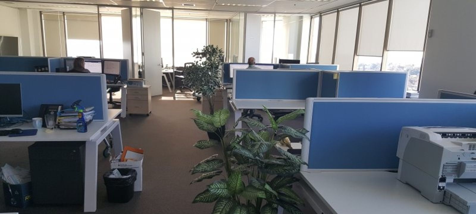 101 Grafton Street, Bondi Junction - Image 1