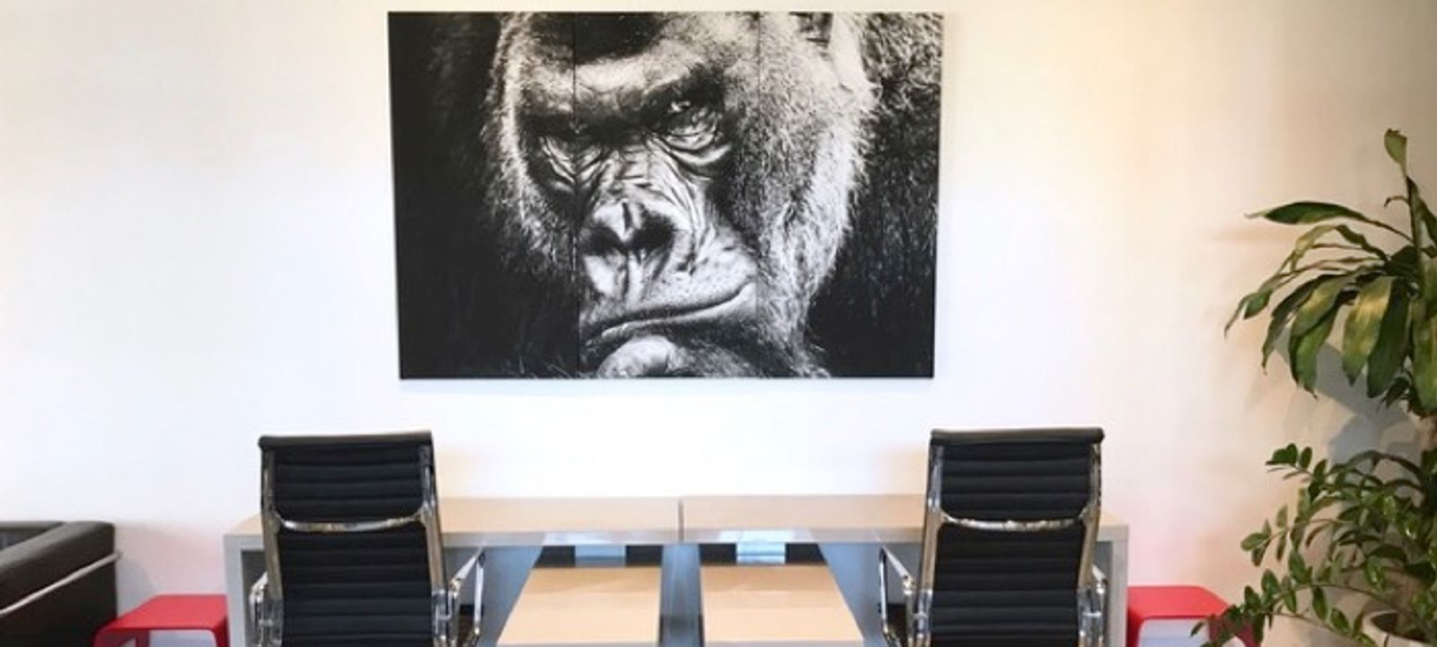 33 Thornton Street 33 Thornton Street, Surfers Paradise - Image 1