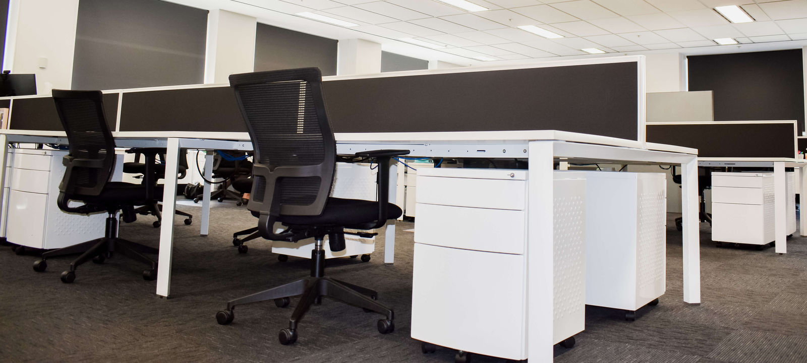 35 Saunders Street, Pyrmont - Image 1