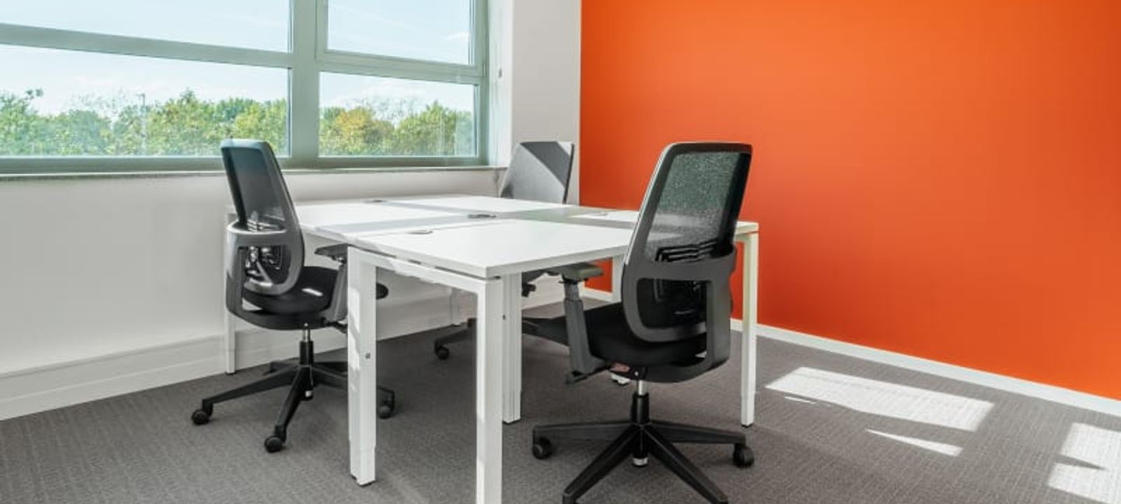 75 Papendorpseweg, Utrecht - Image 1