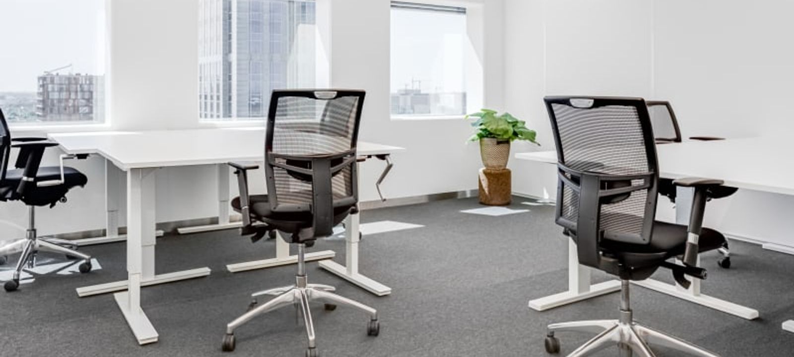 Delftse Poort - Image 1