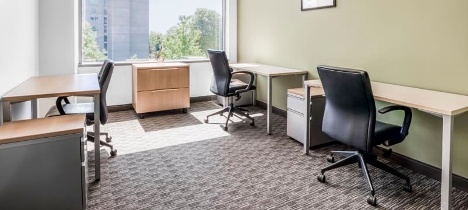 1333 Burr Ridge Pkwy, Burr Ridge - Image 1