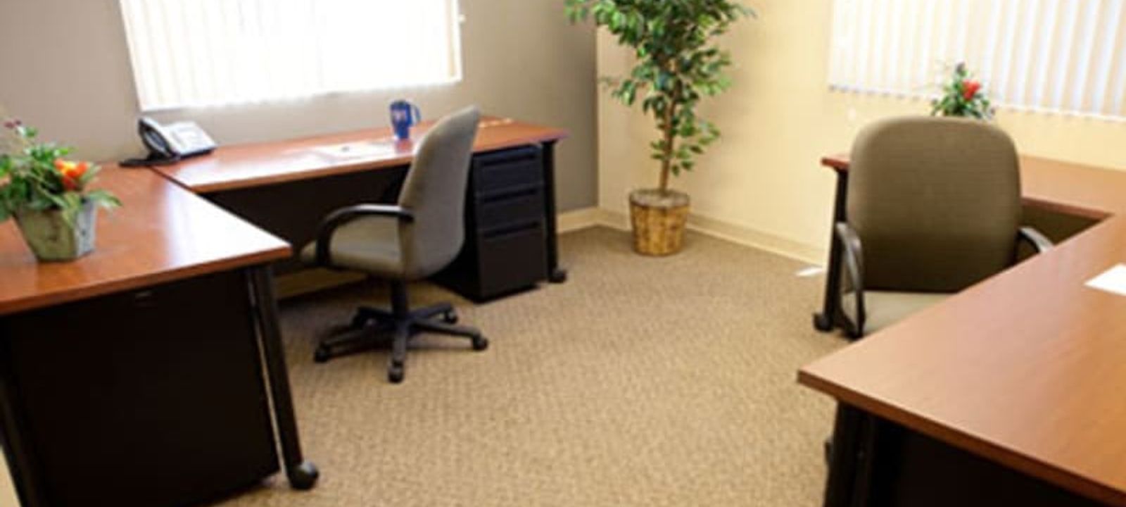 7320 East Fletcher Ave, Tampa - Image 1