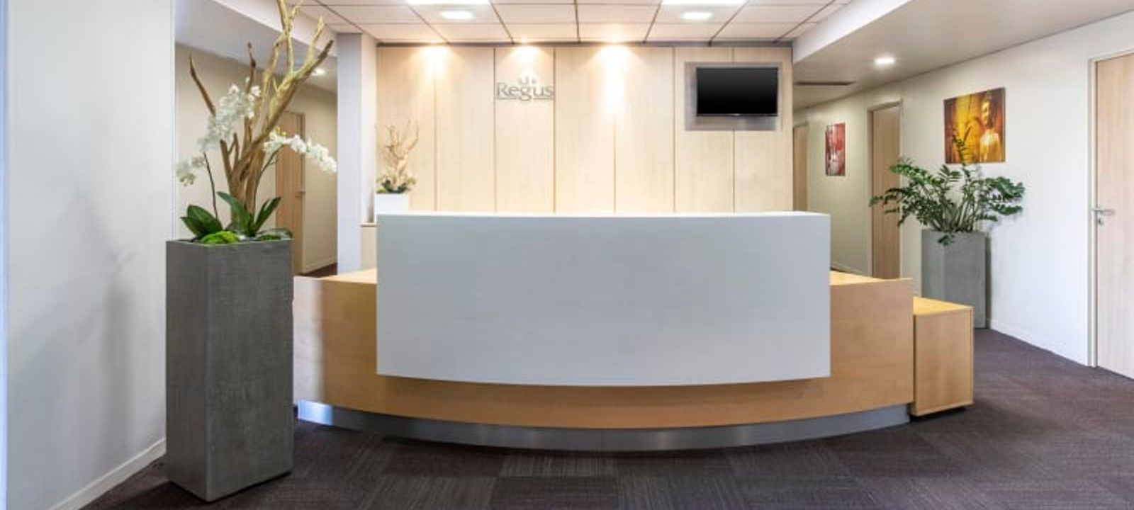 8 Esplanade Compans Caffarelli, Toulouse - Image 1