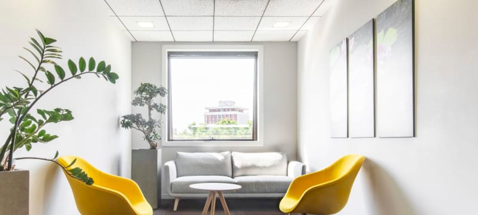 8 Esplanade Compans Caffarelli, Toulouse - Image 1