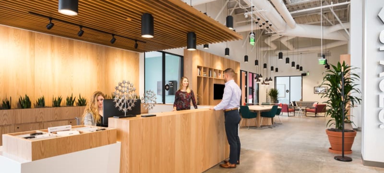 Blue Back Square Blue Back Square - Image 1