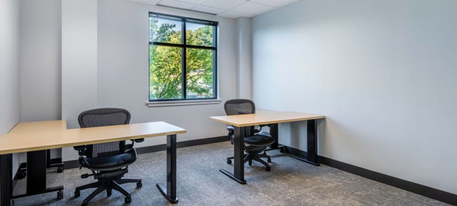 225 Cedar Hill Street, Marlborough - Image 1