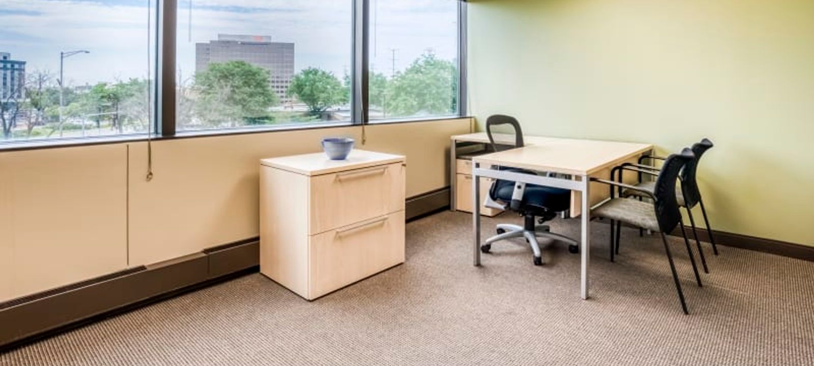 5250 Old Orchard Rd, Skokie - Image 1