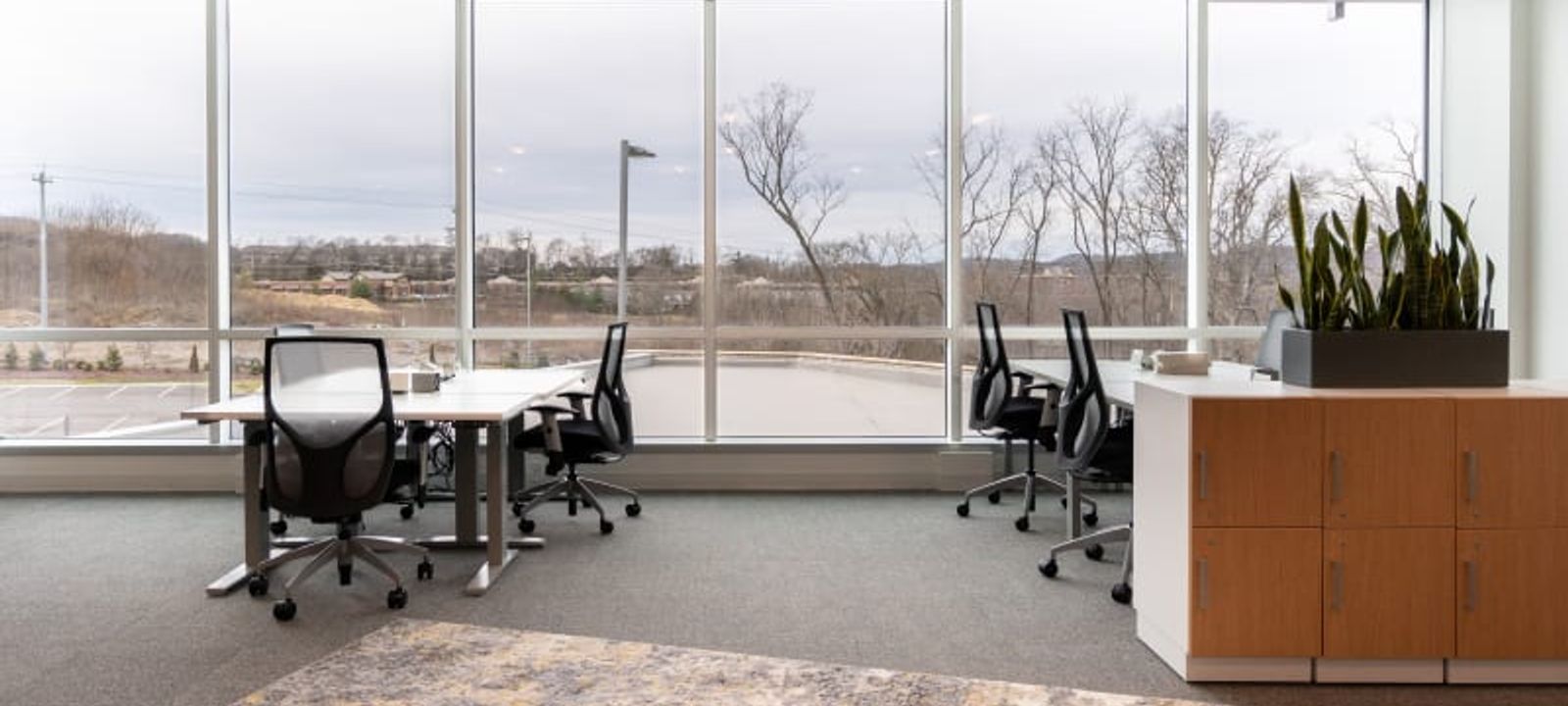 3401 Mallory Lane, Franklin - Image 1