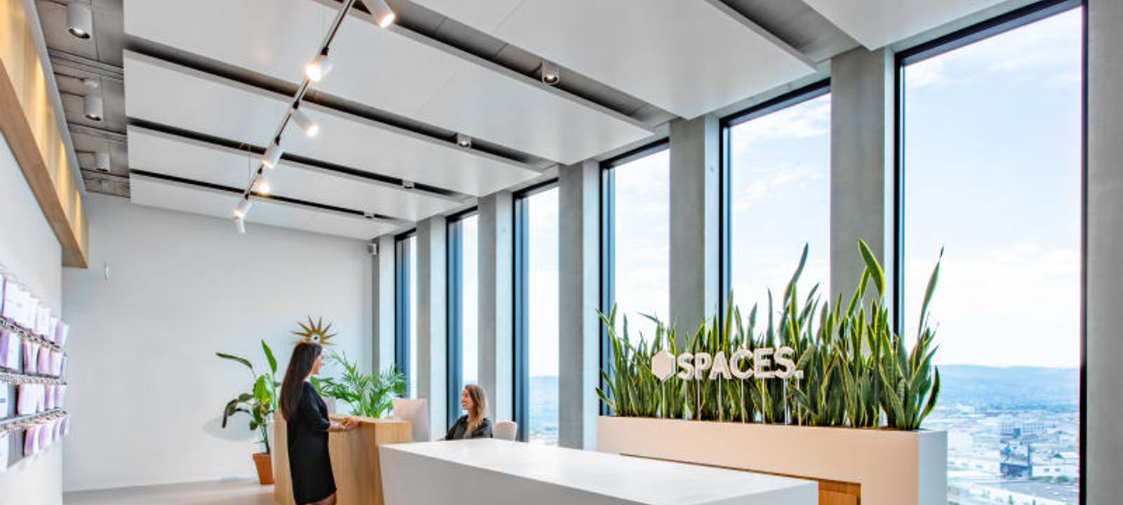 29 Grosspeteranlage, Basel - Image 1