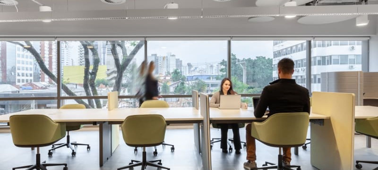 Capitao Antonio Rosa 409, Jardim Paulistano - Image 1