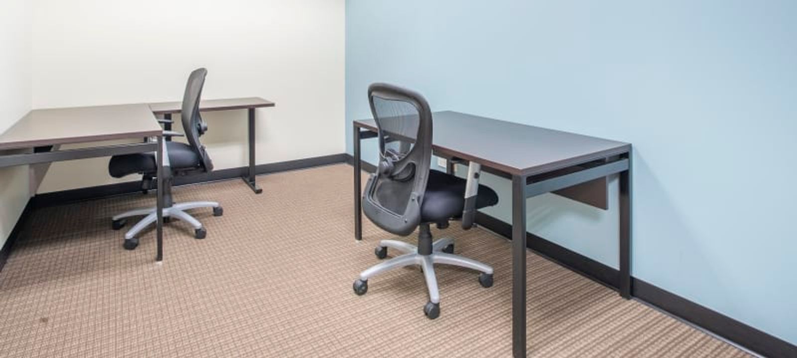 Treat Towers / Rockhill Management - Image 1