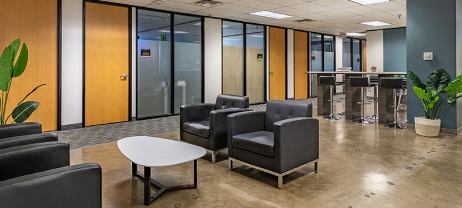 8330-8360 Lyndon B Johnson Fwy, Dallas - Image 1