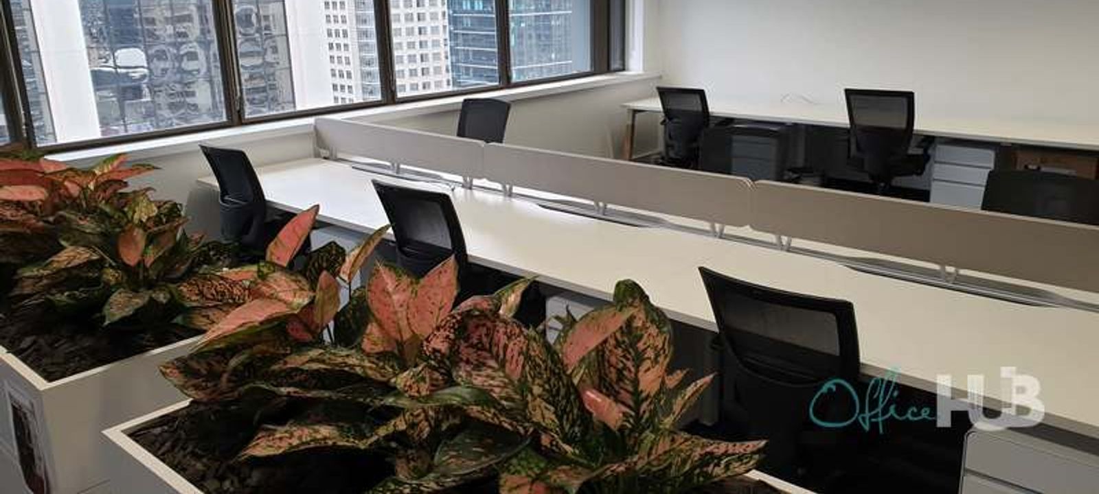 31 Market Street, Sydney - Image 1