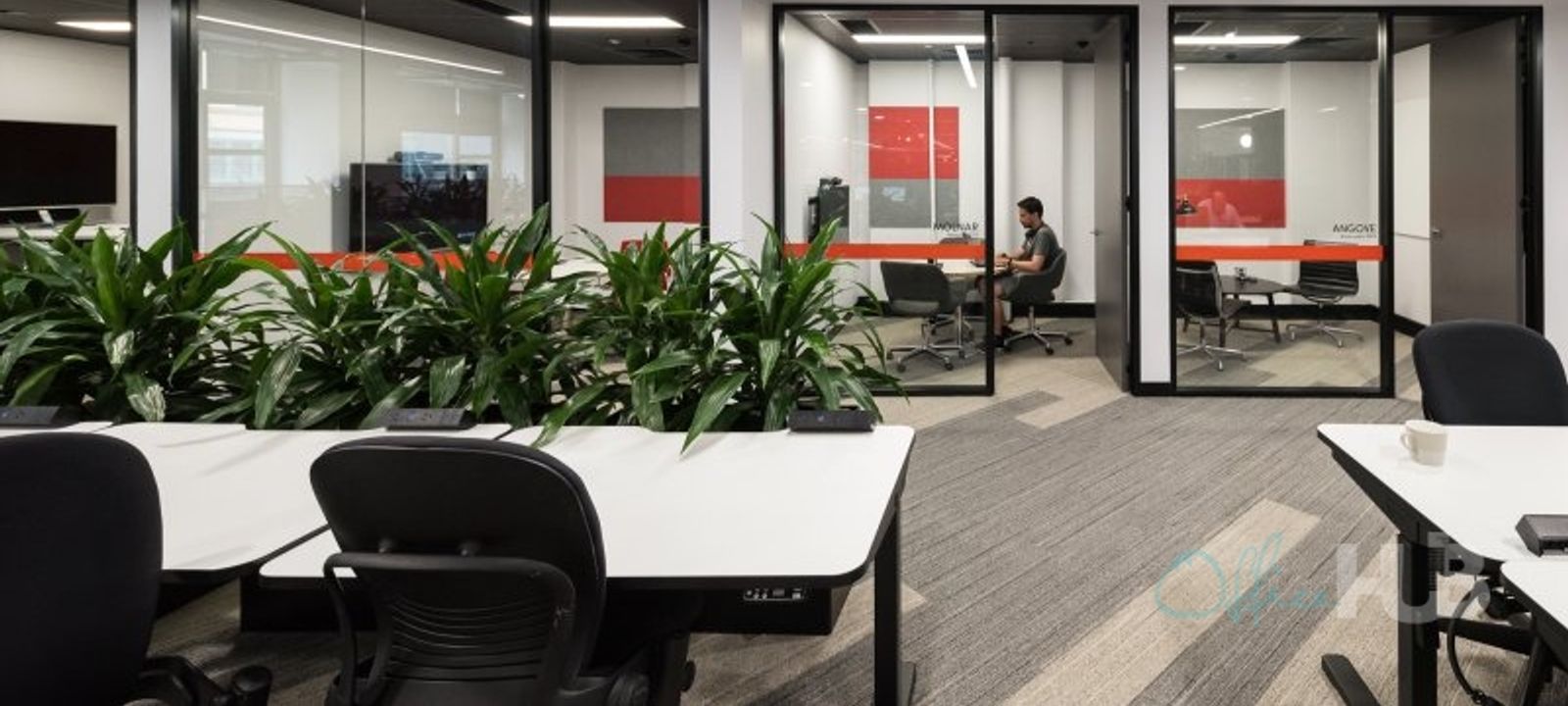 80 Bay Street, Ultimo - Image 1