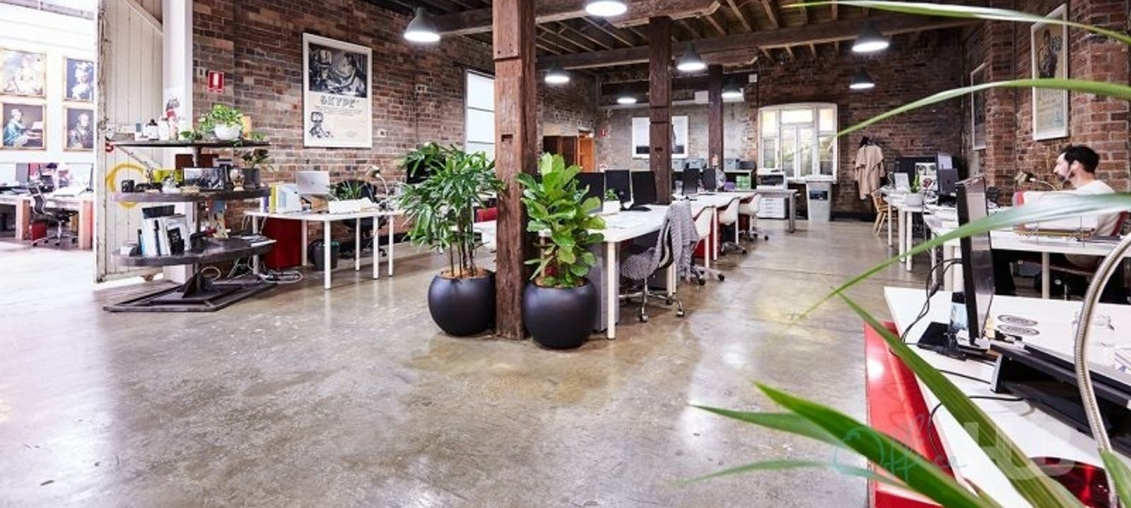 3 Queen Street, Glebe - Image 1