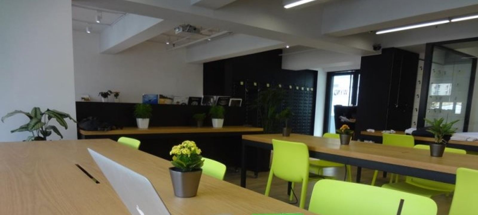 43-55 Wyndham Street, Central - Image 1