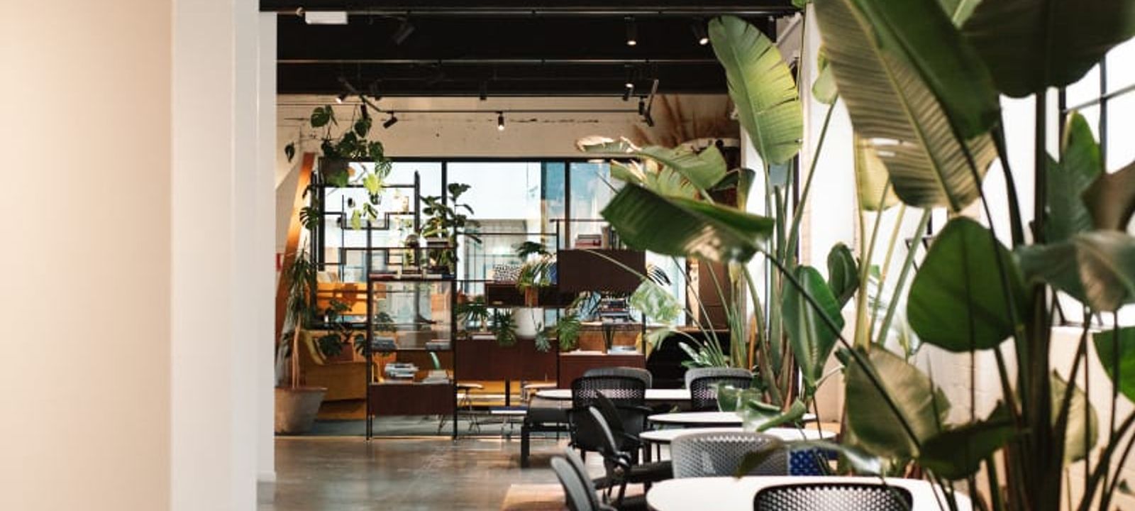 231 Chapel St, Prahran - Image 1