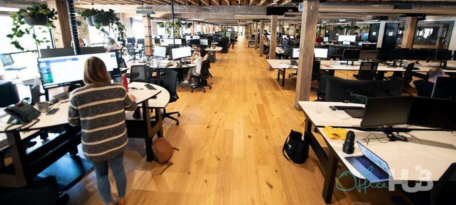 100 Harris Street, Pyrmont - Image 1