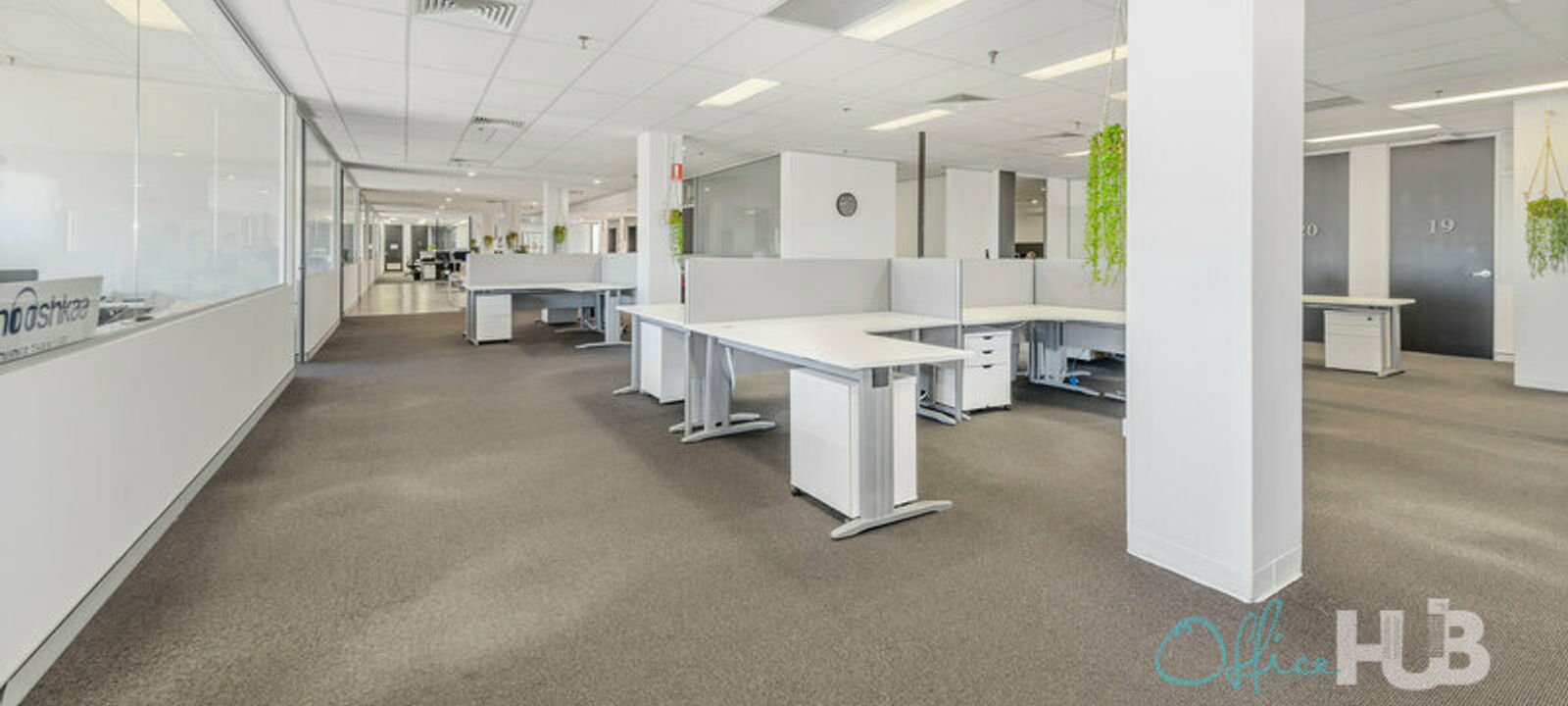 418a Elizabeth Street, Surry Hills - Image 1