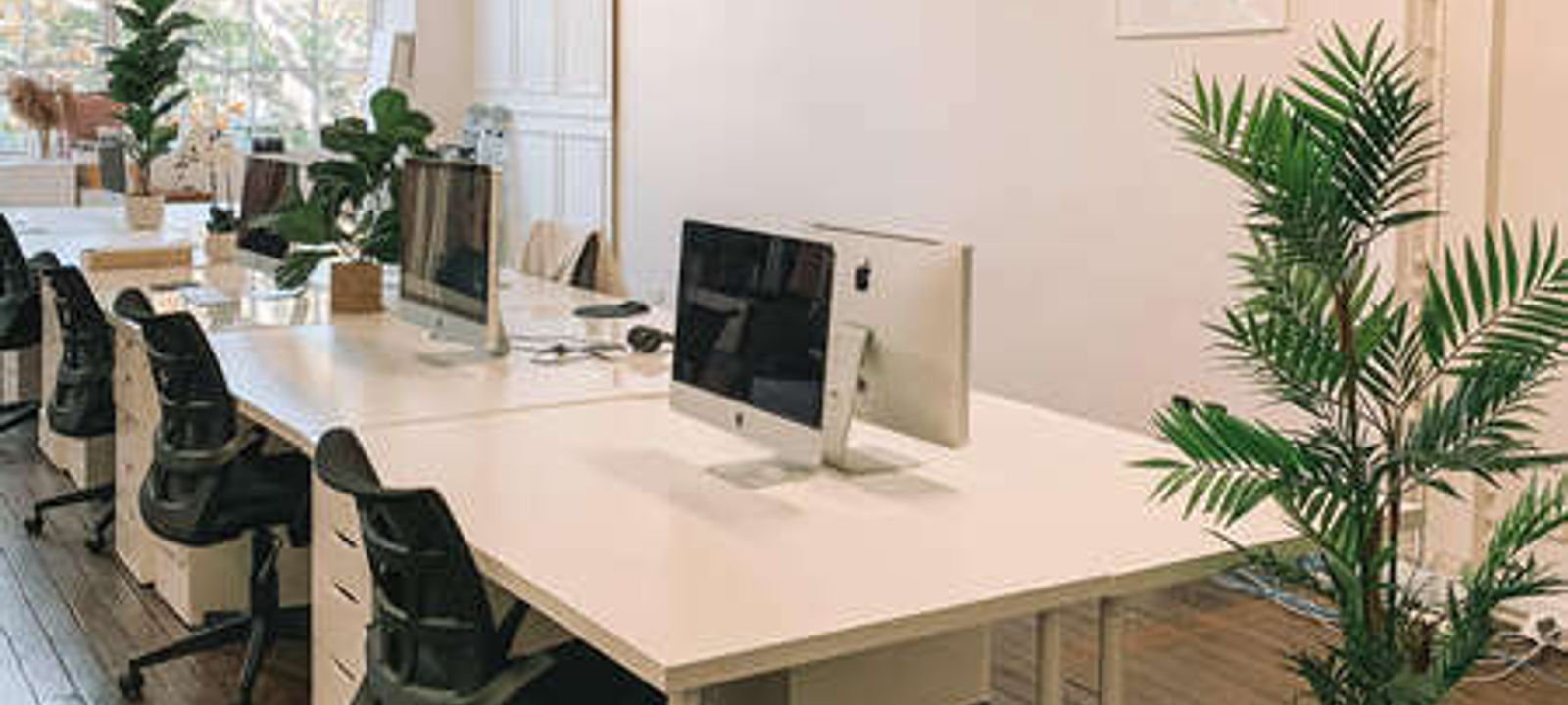 151 Foveaux Street, Surry Hills - Image 1