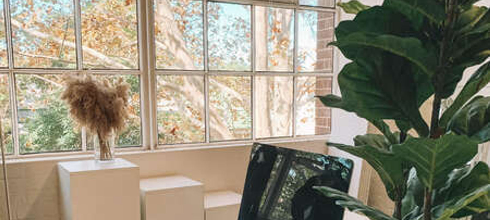 151 Foveaux Street, Surry Hills - Image 1