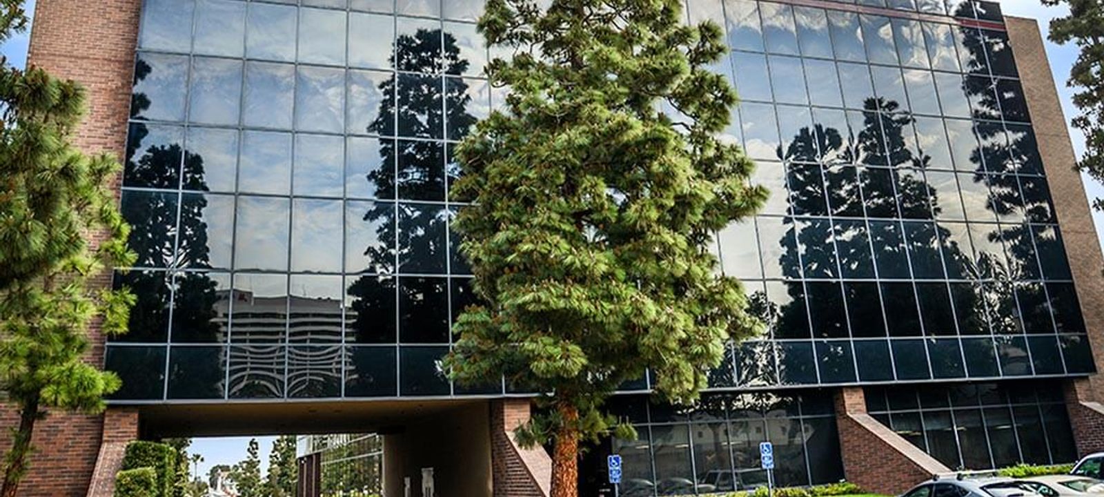 Torrance Torrance - Image 1