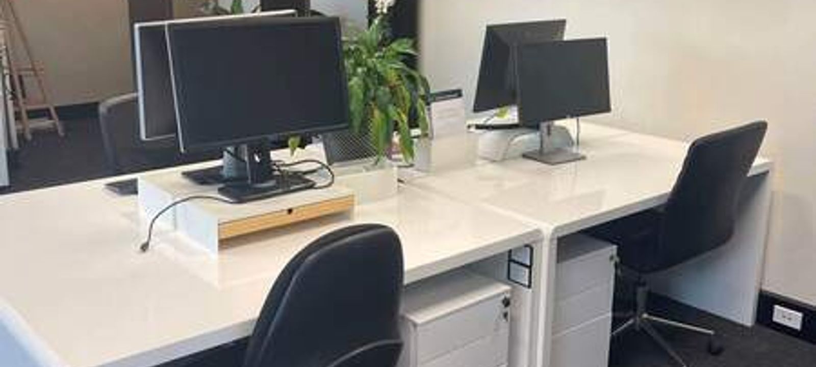 117 Old Pittwater Road 117 Old Pittwater Road, Brookvale - Image 1