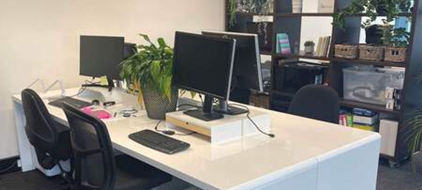 117 Old Pittwater Road, Brookvale - Image 1