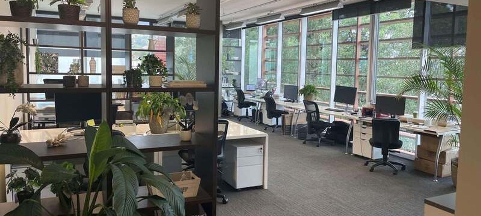 117 Old Pittwater Road 117 Old Pittwater Road, Brookvale - Image 1