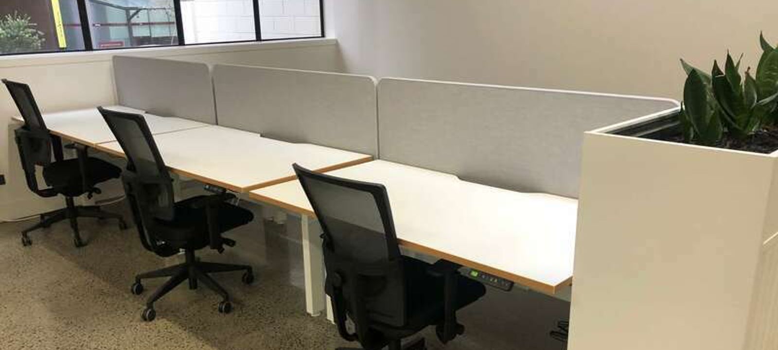 17 Albert Street, Auckland Cbd - Image 1