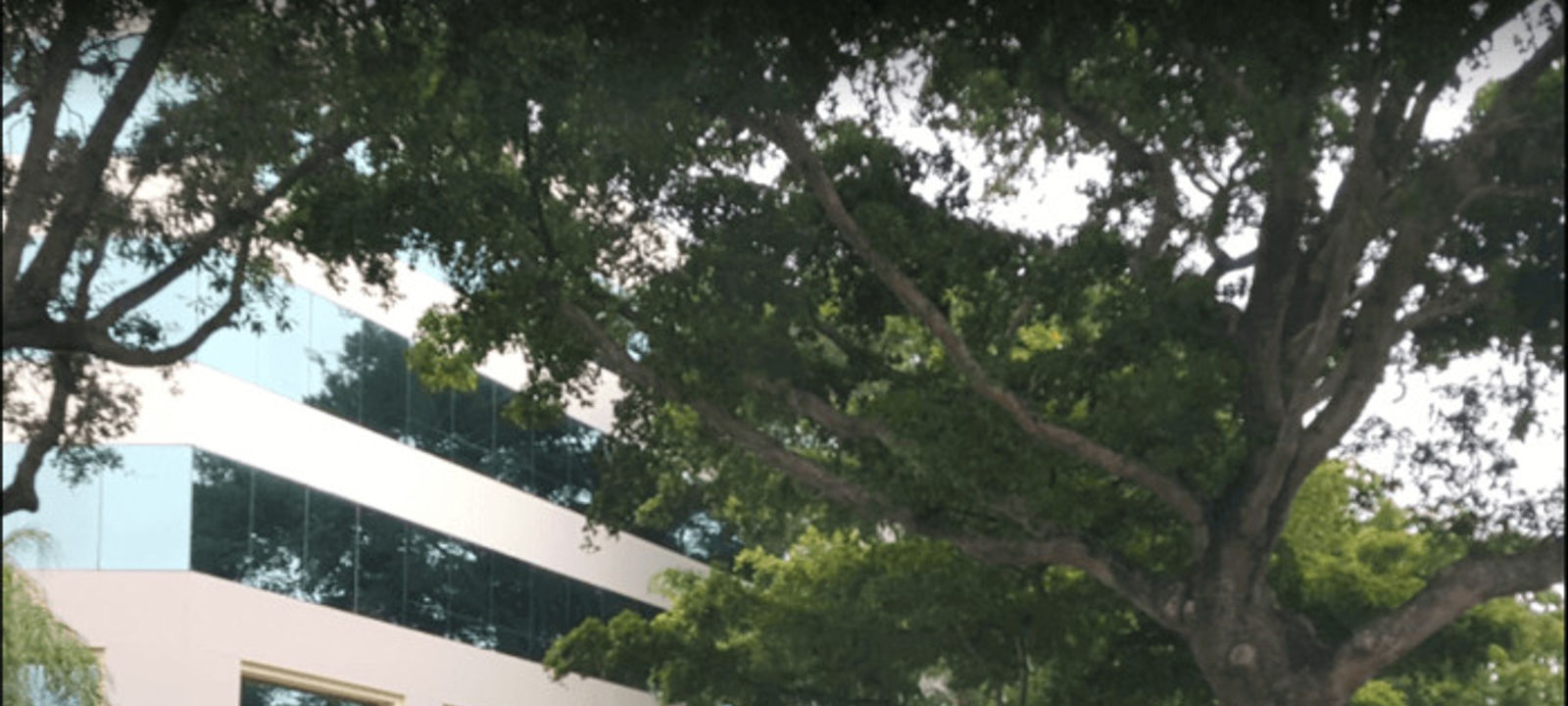 150 S Pine Island Road, Plantation - Image 1