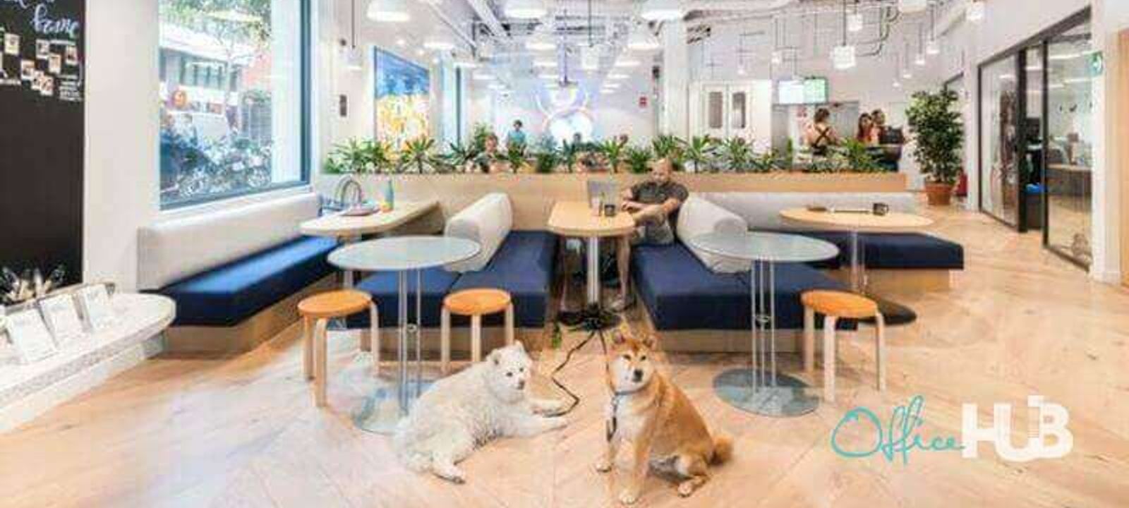 444 Diagonal, Catalonia - Image 1