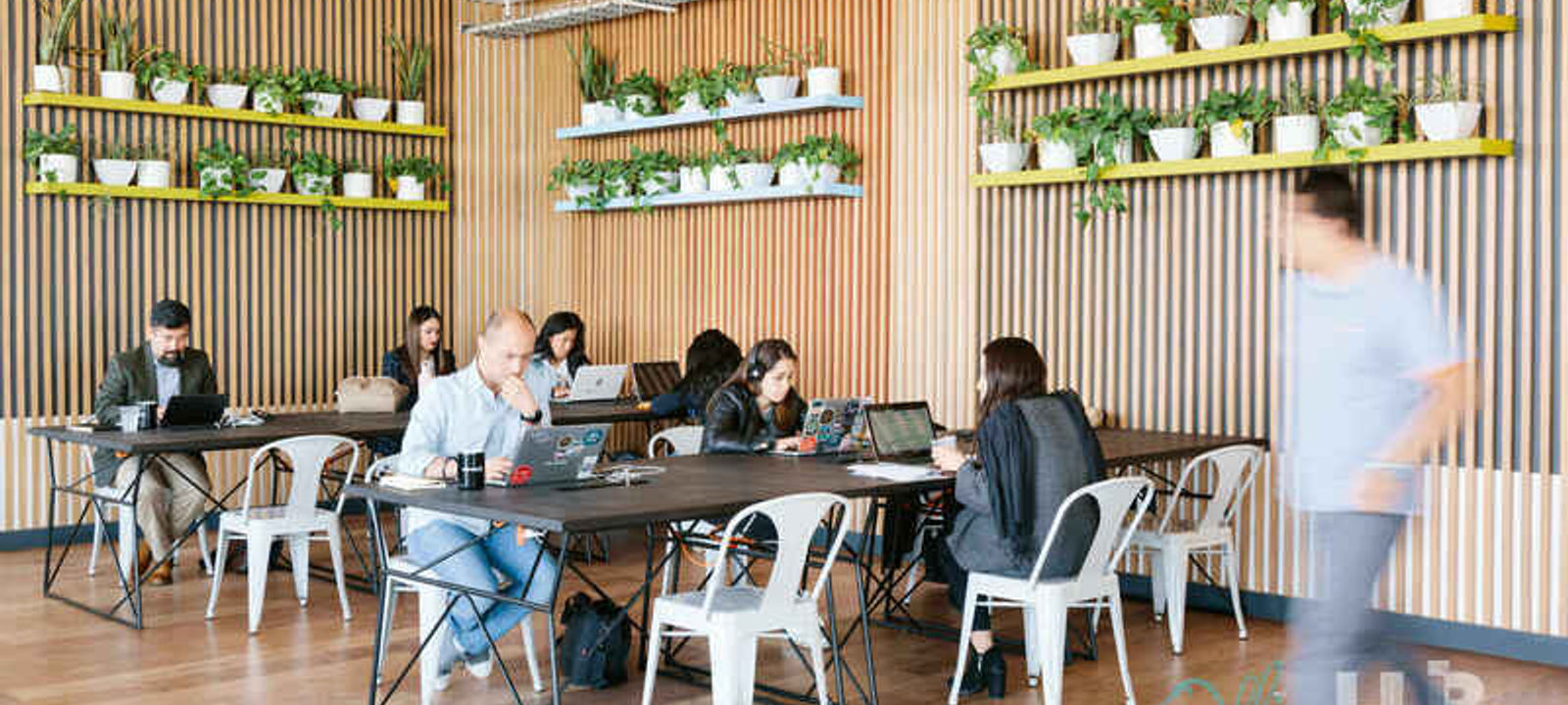 601 Avenida De Los Insurgentes, Colonia Napoles - Image 1