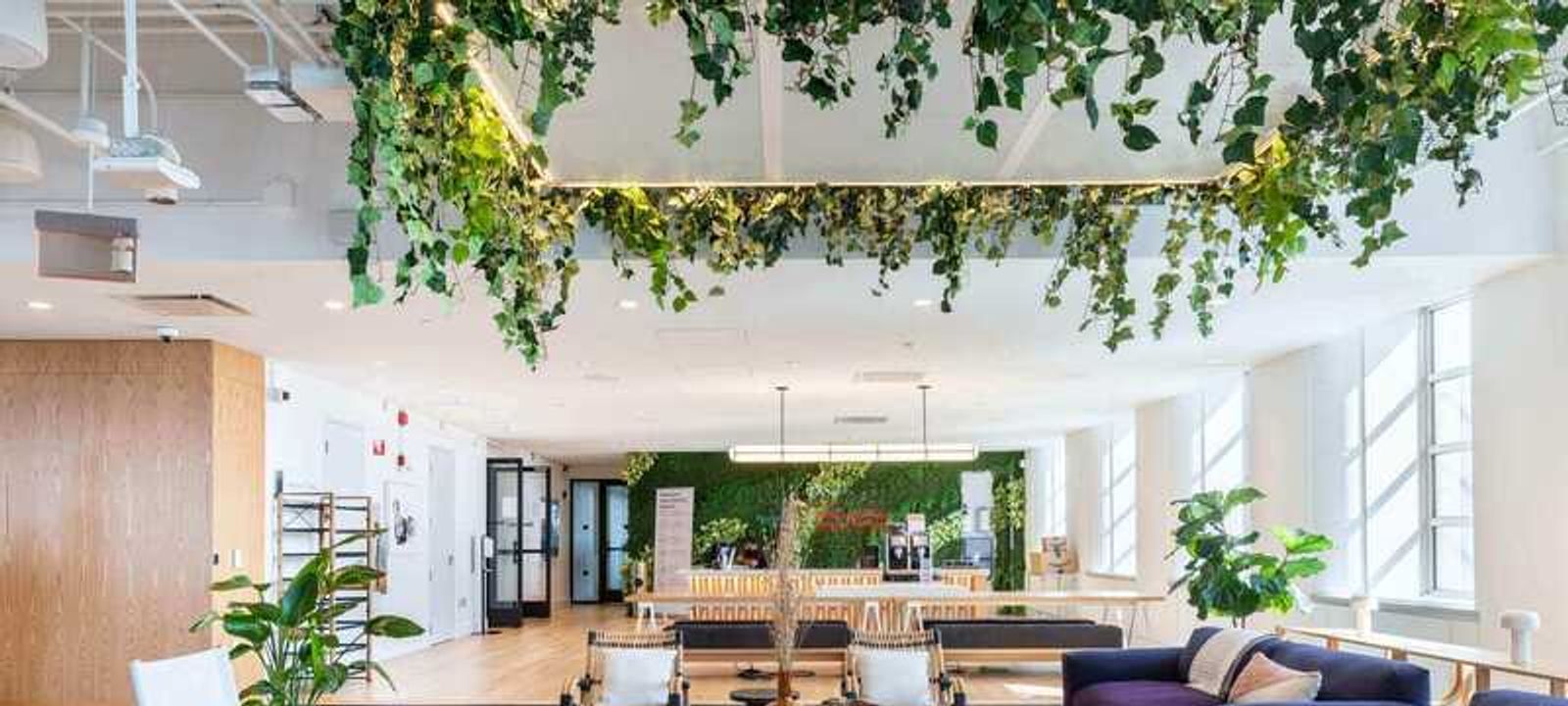 200 Berkeley Street, Boston - Image 1