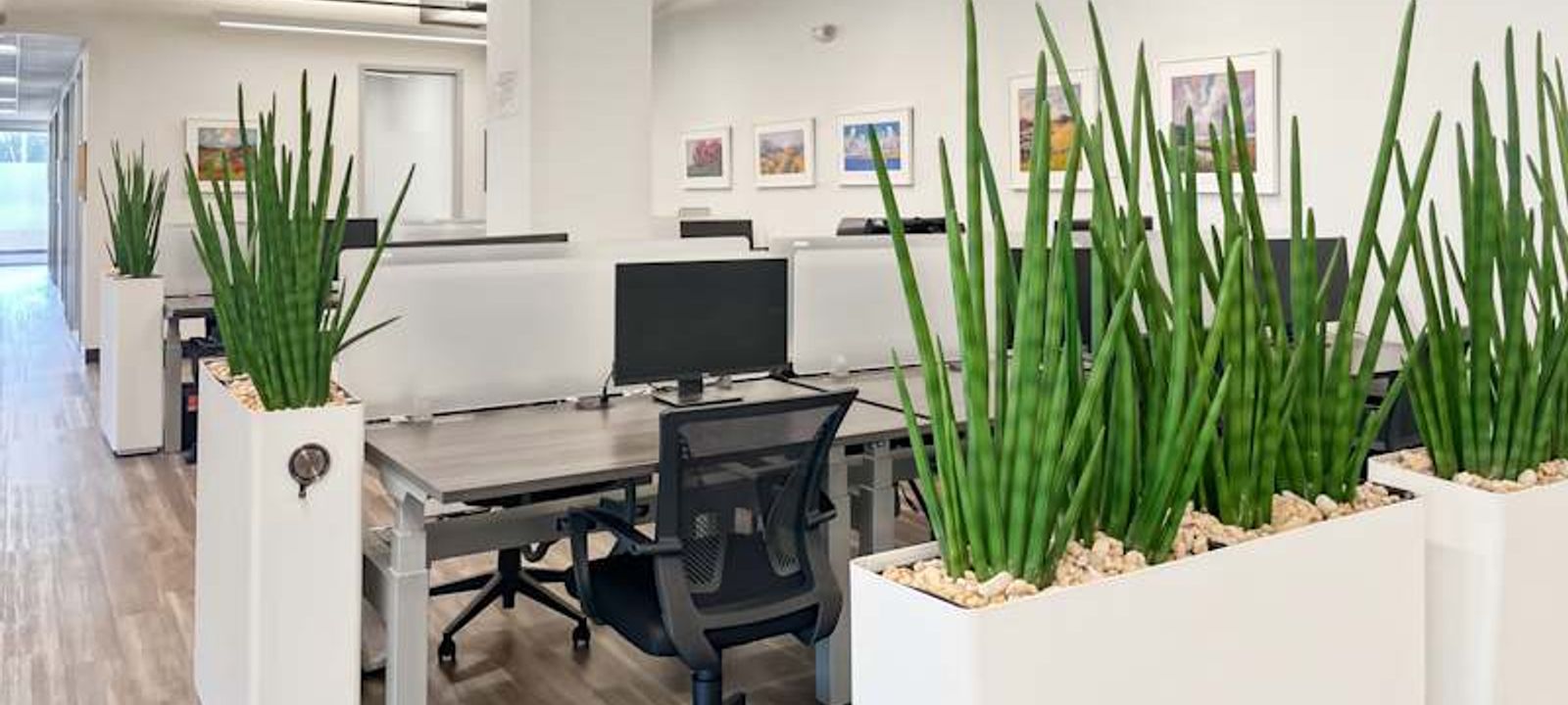 4701 Sangamore Rd 4701 Sangamore Rd, Bethesda - Image 1