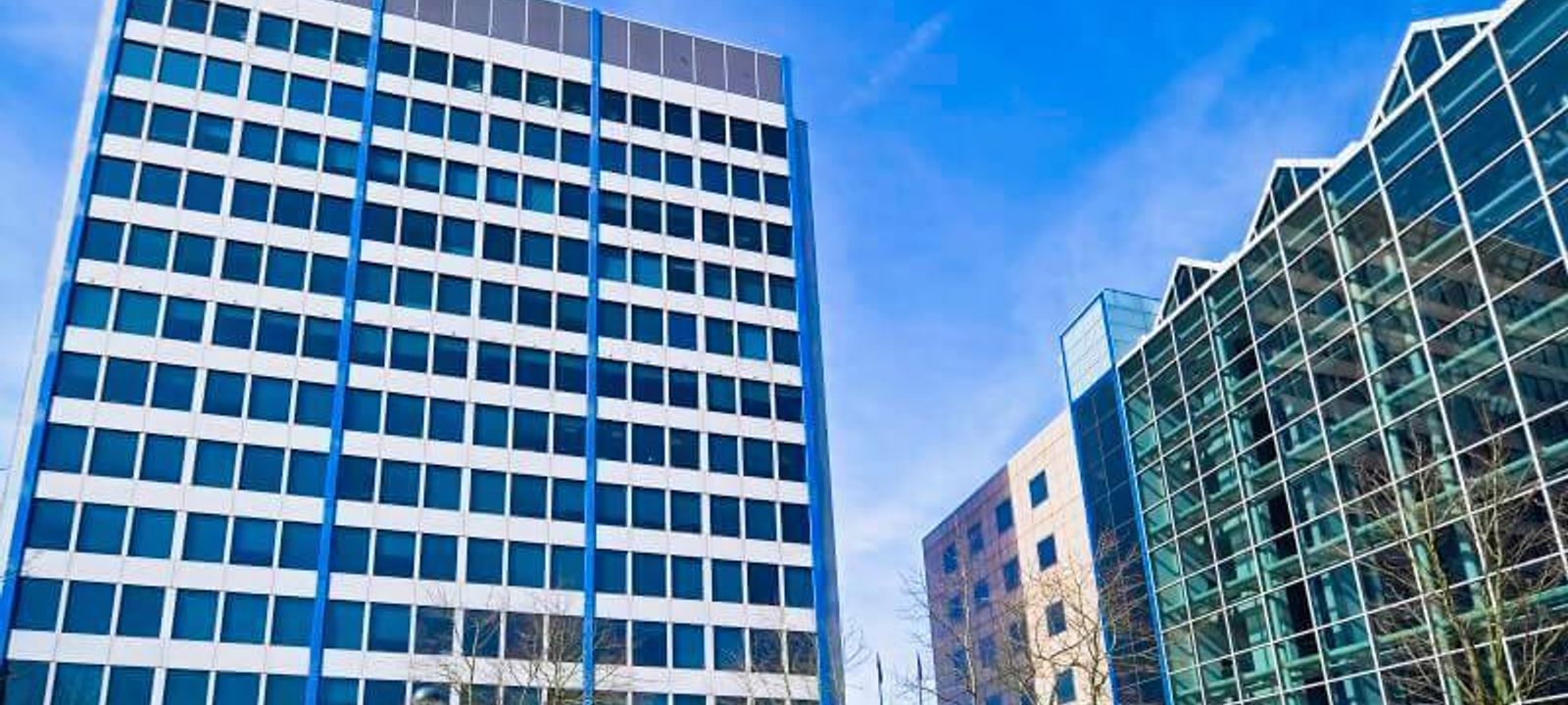 Maple House - Image 1