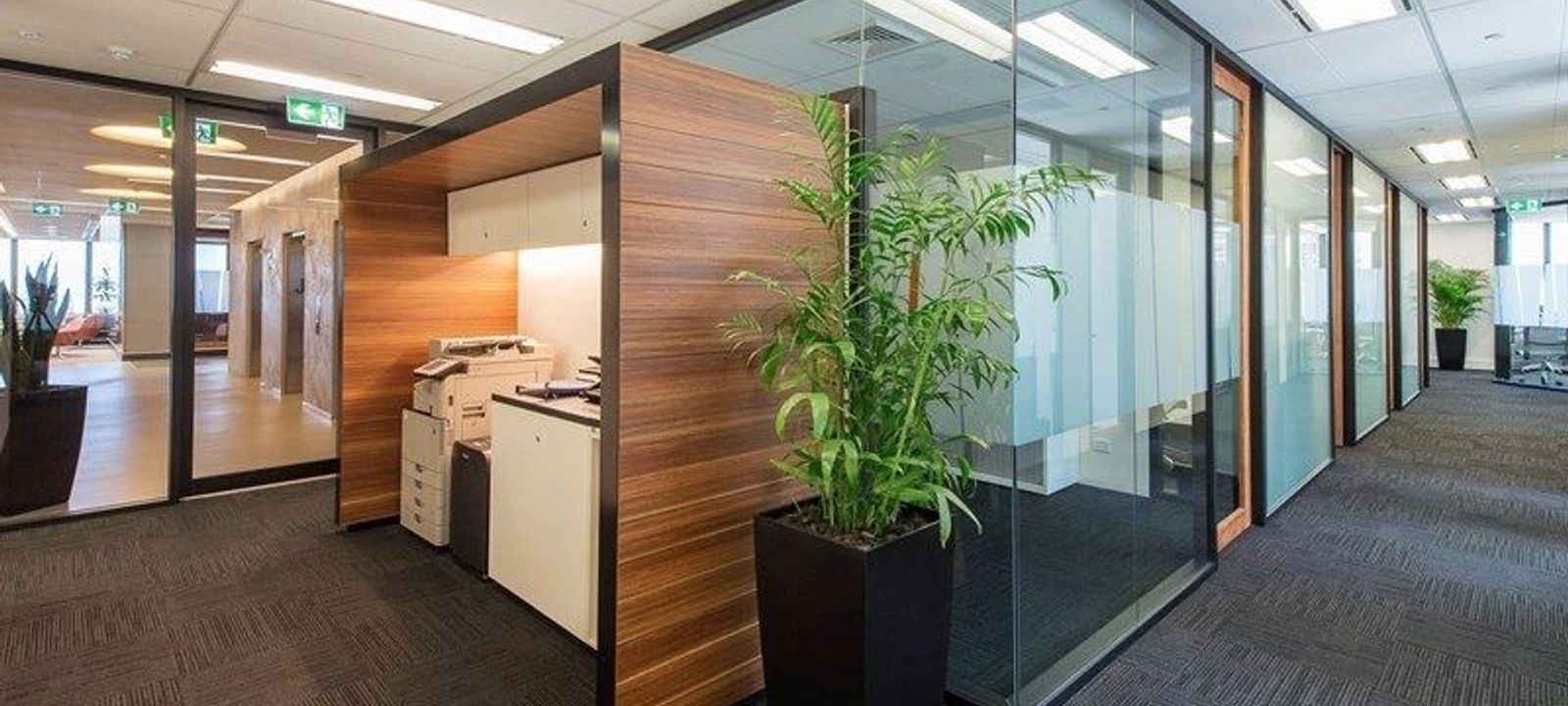 52 Martin Place, Sydney - Image 1