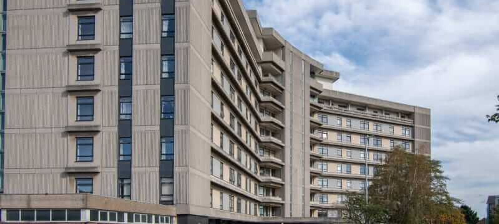 The Panorama - Image 1