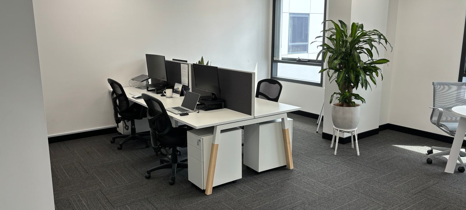 289 King Street, Mascot - Image 1