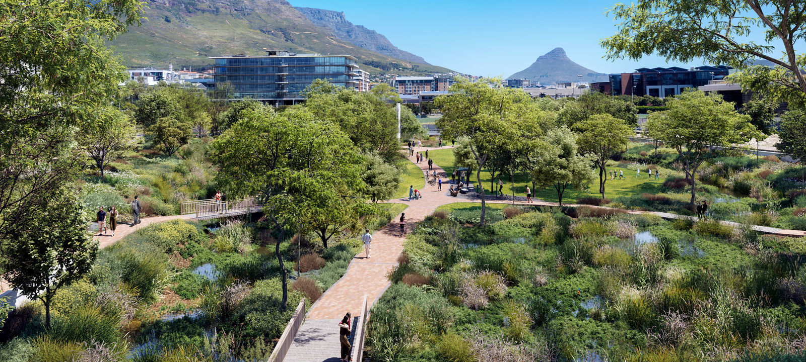 51 Gogosoa Street, Observatory - Image 1