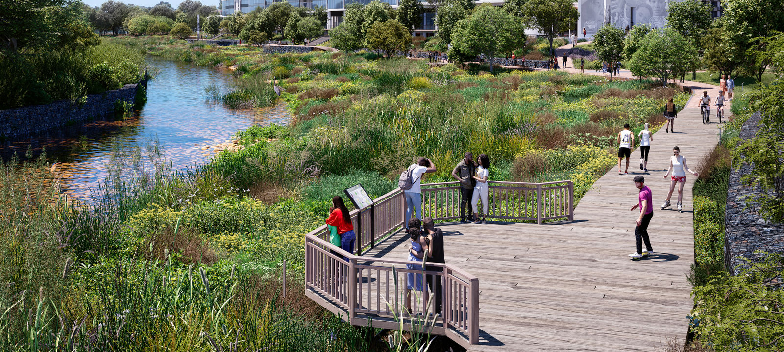 51 Gogosoa Street, Observatory - Image 1