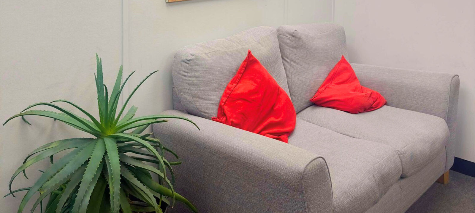 Crocus St, Nottingham - Image 1