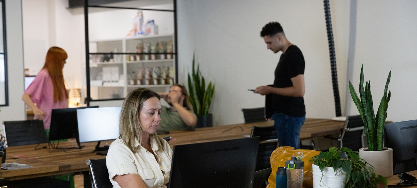 36 Morley Avenue, Rosebery - Image 1