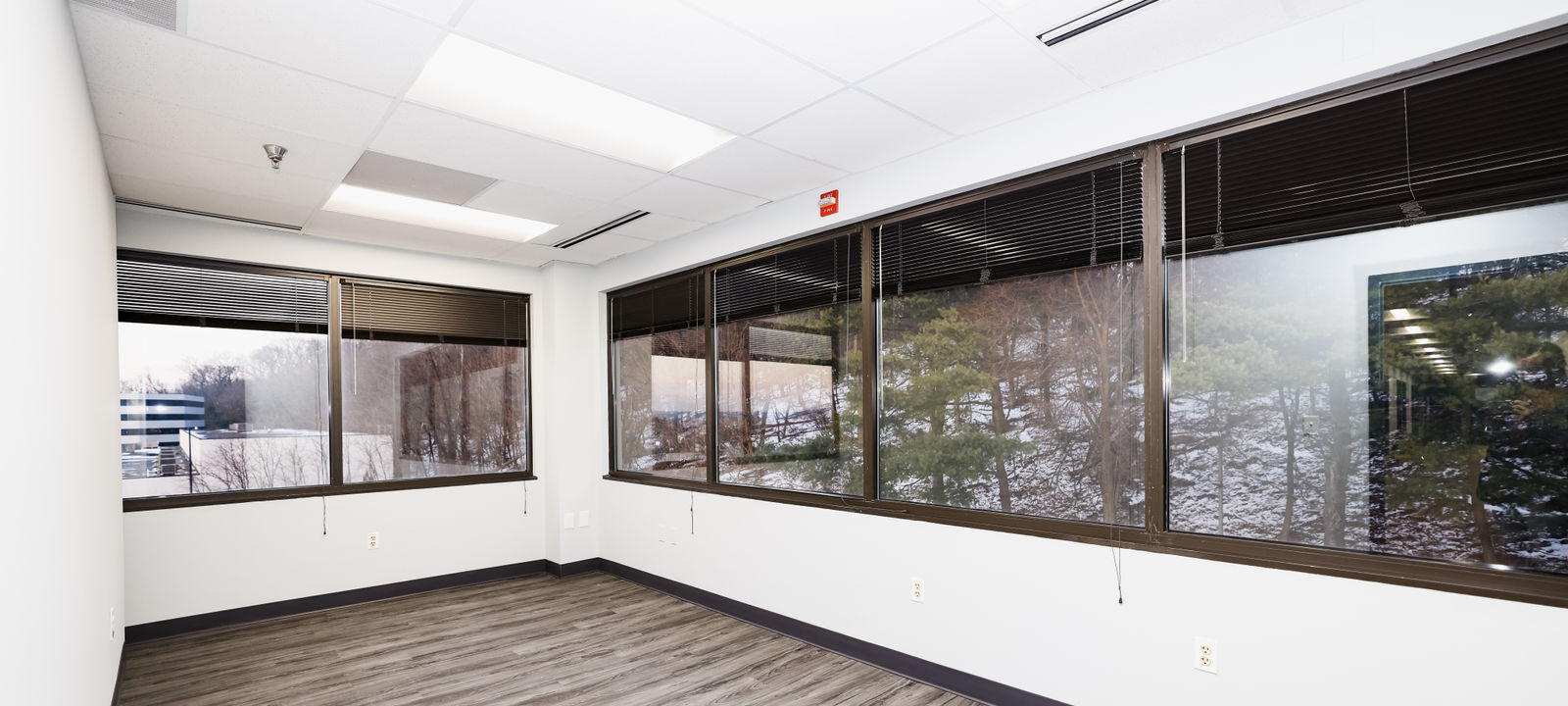 2219 York Road, Timonium - Image 1