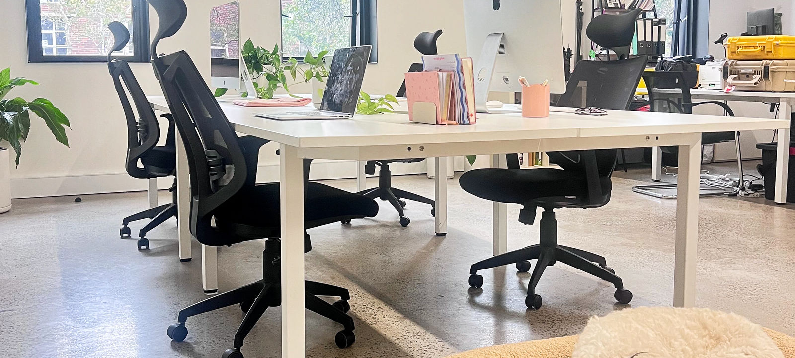 619 Elizabeth Street, Surry Hills - Image 1