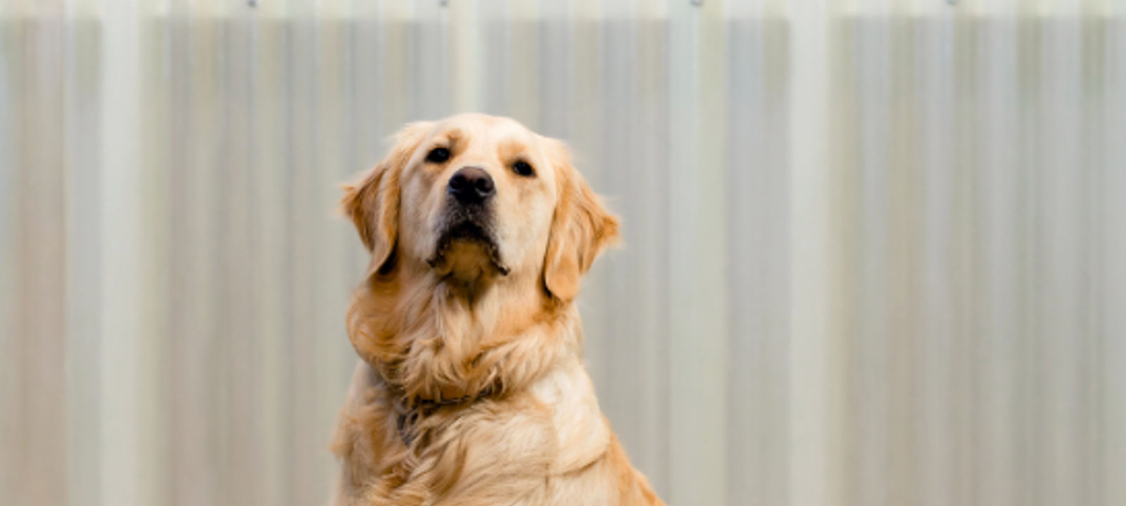 41 Lygon Street, Brunswick East - Image 1